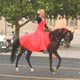Diablo in all horse parade