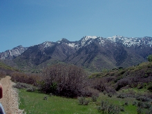DimpleDellRide Scene