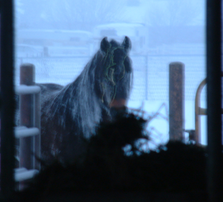 Winter Ghost