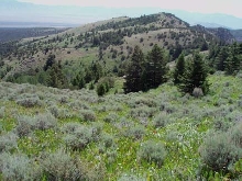 View from the top