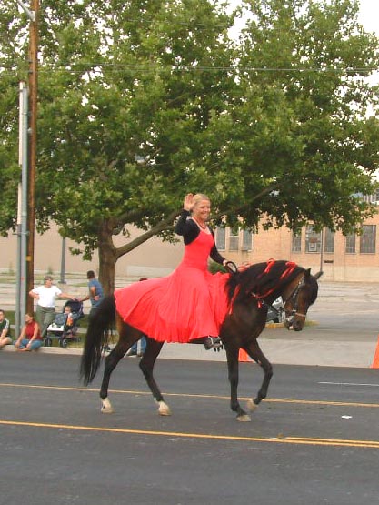 Diablo in All Horse Parade