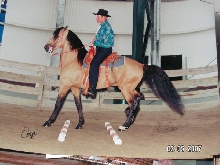 Monarca Trail Class