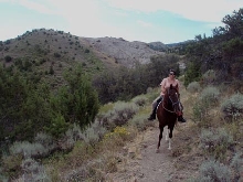 Rose on the Trail