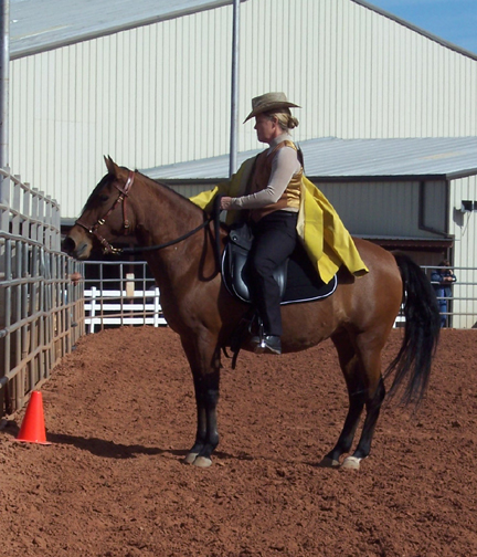 Rosie in Trail