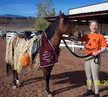 Rosie Pumpkin Patch