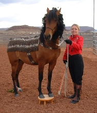 Halloween Horse Lion