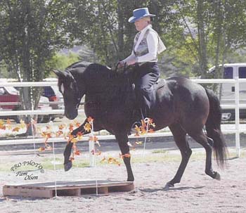 Zar crossing obstacle at Utah State Fair