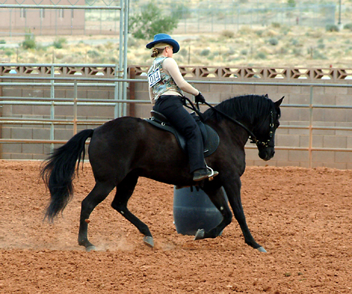 Zar in Trail