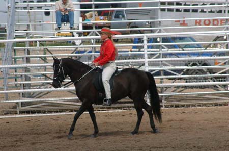 Zar in Pleasure at Utah State Fair