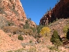 Riding in Zion's National Park