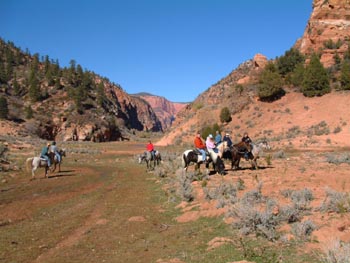 Utah Paso Finos