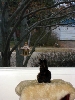 Birdwatching