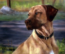 Caesar portrait