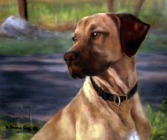Caesar portrait