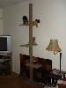 cat tree