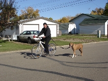biking dog