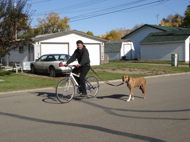 biking dog