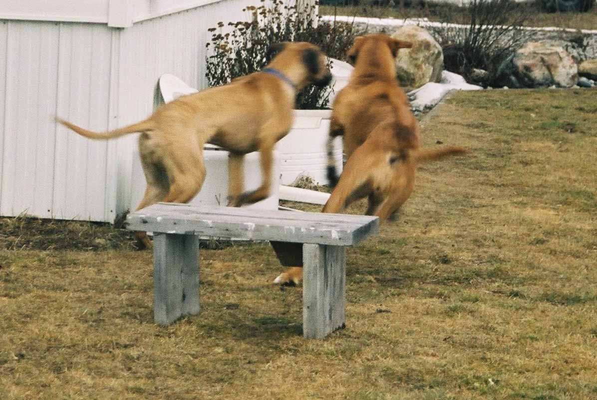 Just two blurs