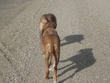 single file