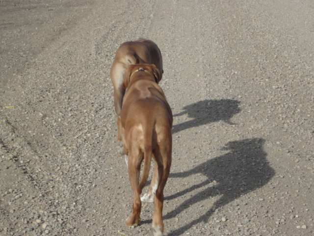 single file