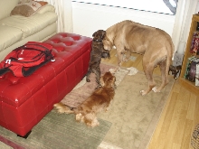 Play time day two!