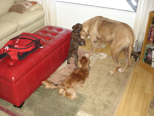 Play time day two!