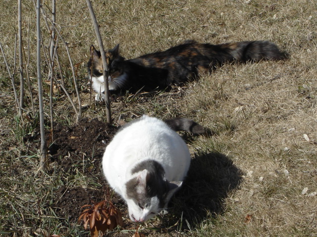 Posh stalking  Smudge