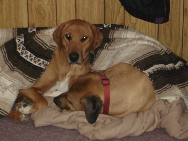 Dharma and Caesar keep warm