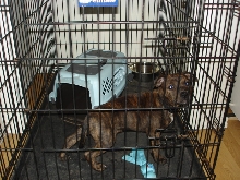 Home crate