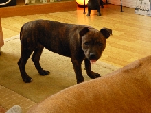 fading tongue