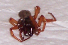 What is this?