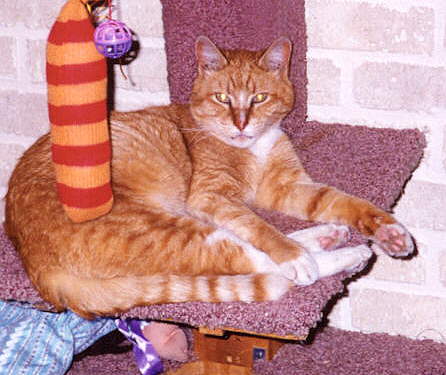 BooBoo 1987-2003