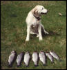 Look what i caught
