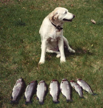 Look what i caught