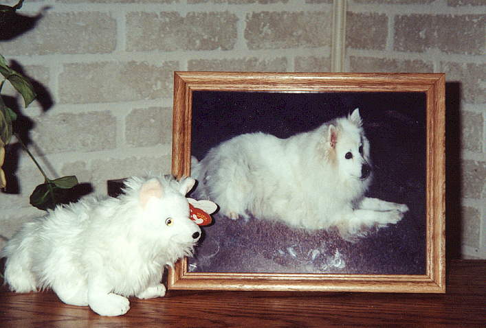 Sitka