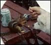 Sitka and the chipmunk