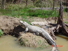 Finally some basking weather......again