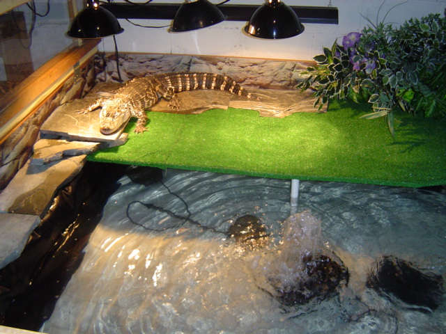 2pacs winter home