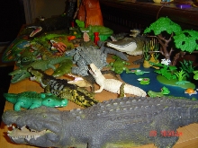 Daughters croc collection
