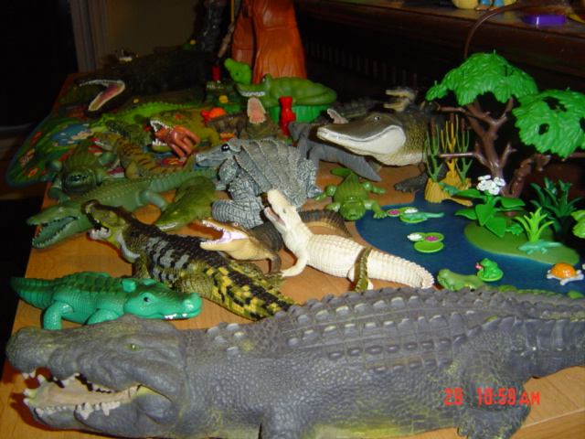 Daughters croc collection