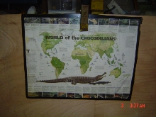 Coolest poster award