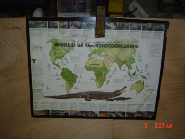 Coolest poster award