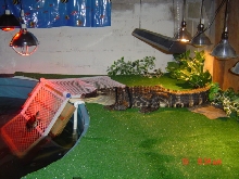 Pac enjoying new land