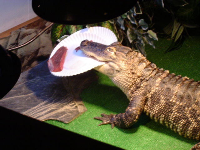 me hungry