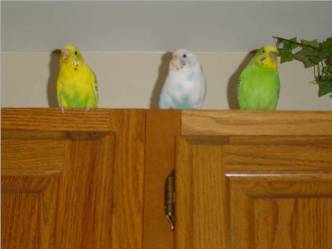 3 friends