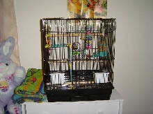 sky's cage
