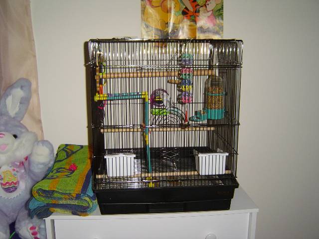 sky's cage