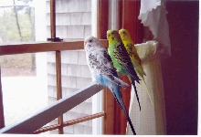we want to go out