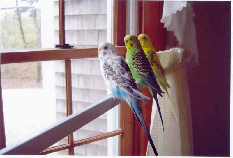 we want to go out