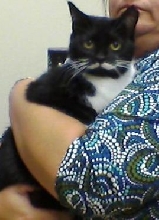 Stache #1